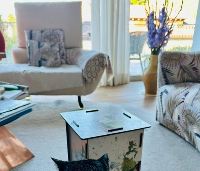 Platz für Katz. Professional Organizing