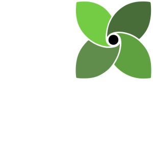 Logo - Blüte mit vier Blättern in verschiedenen Grüntönen und schwarz gefüllten Kreis in der Mitte